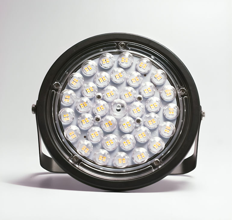 100 Watt Round Lens Flood Light