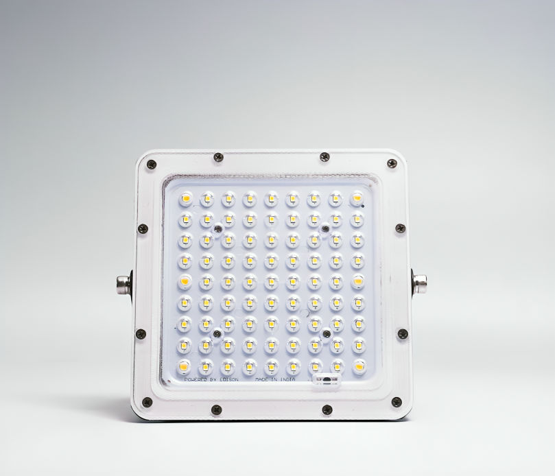 100 Watt Flat Lens Flood Light